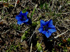 P1070014