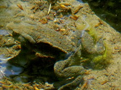 P1070026