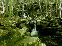 P1070031