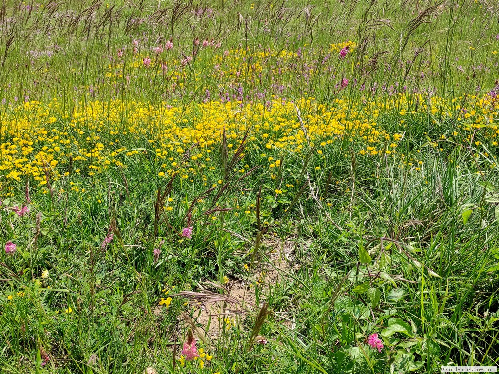 IMG_20210609_120030
