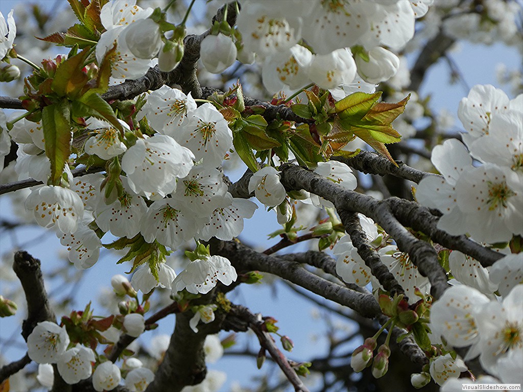 P1000508