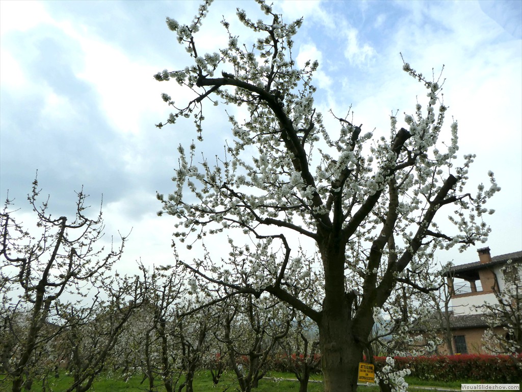 P1000516