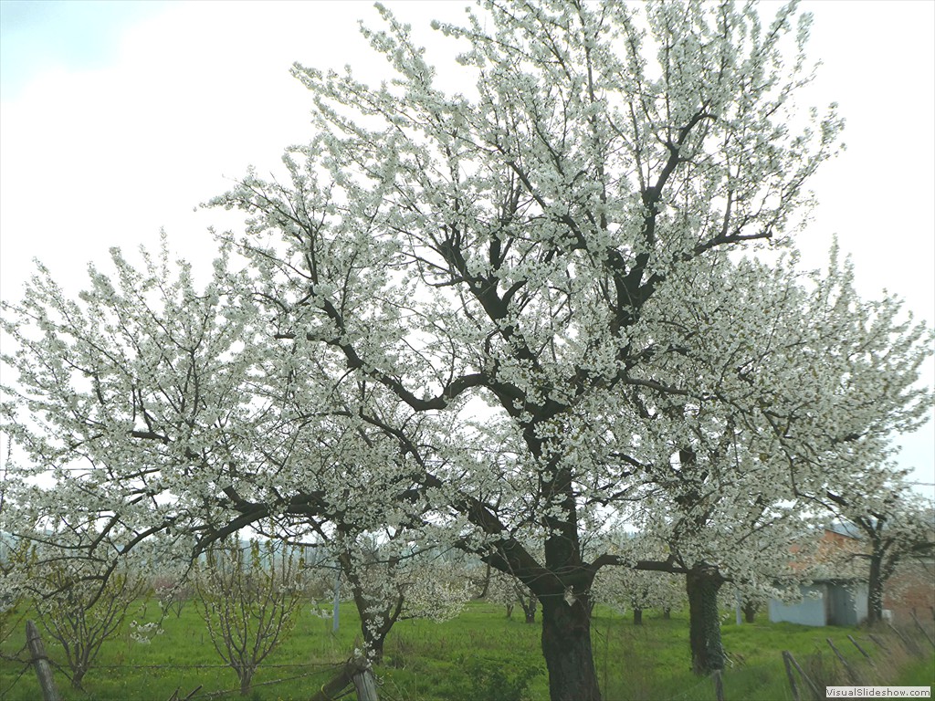 P1000521