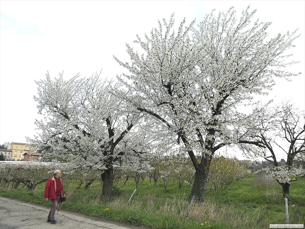 P1000524