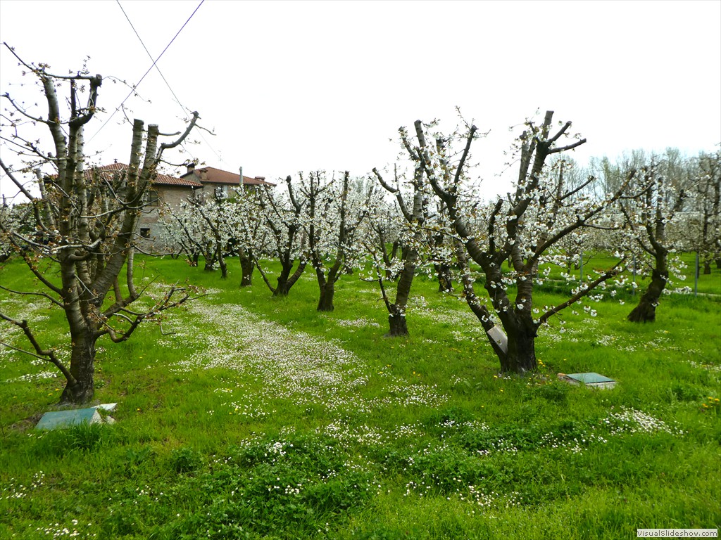 P1000526