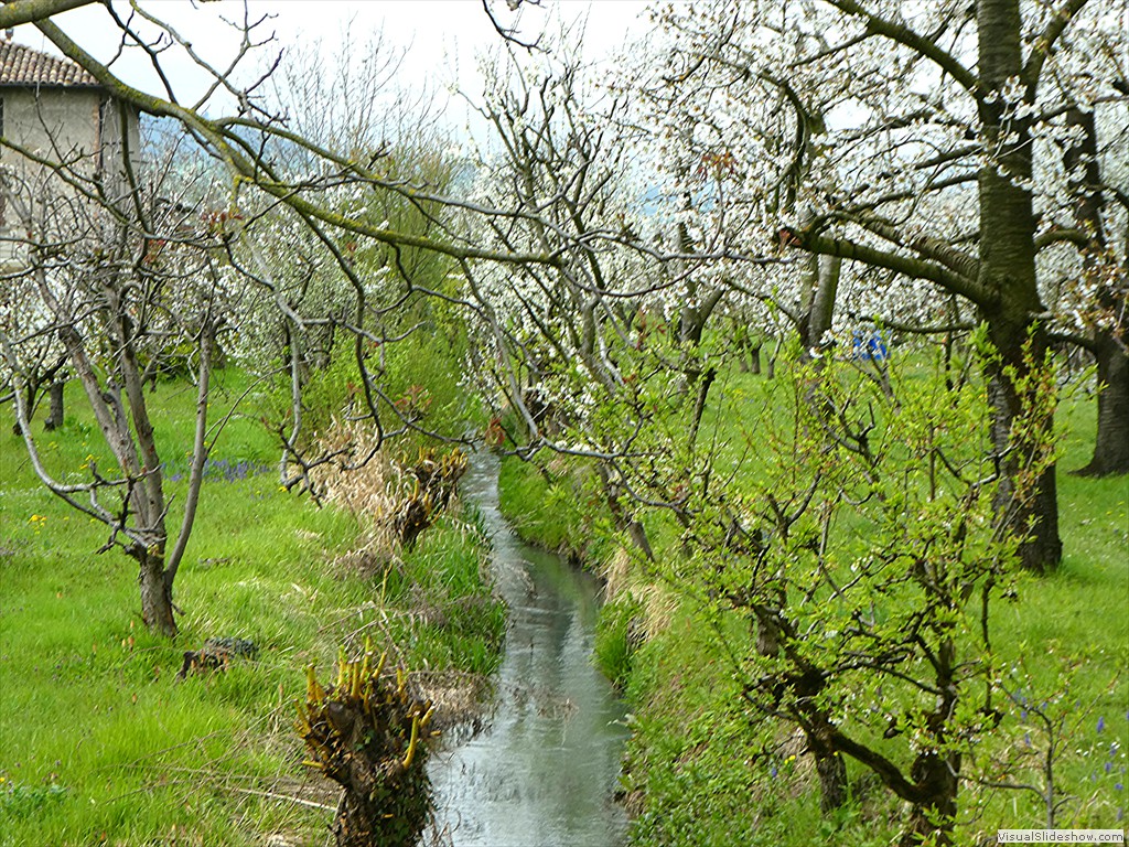 P1000531