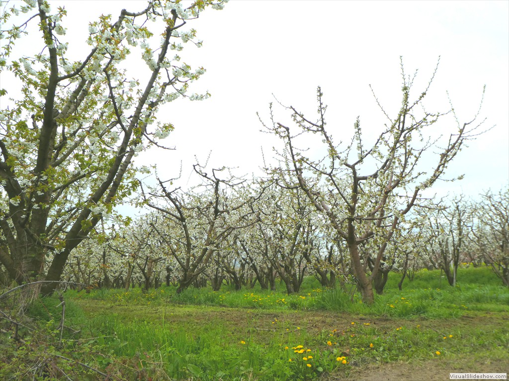 P1000538