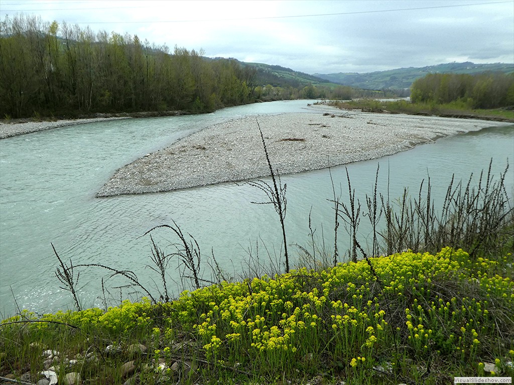 P1000549