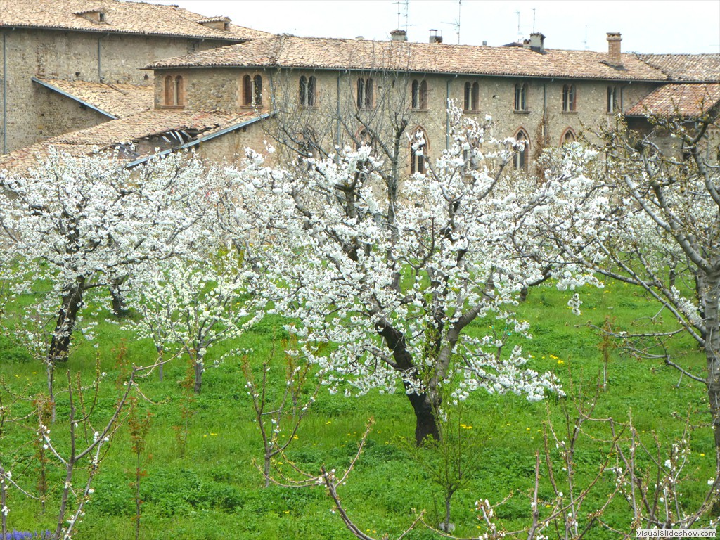 P1000556