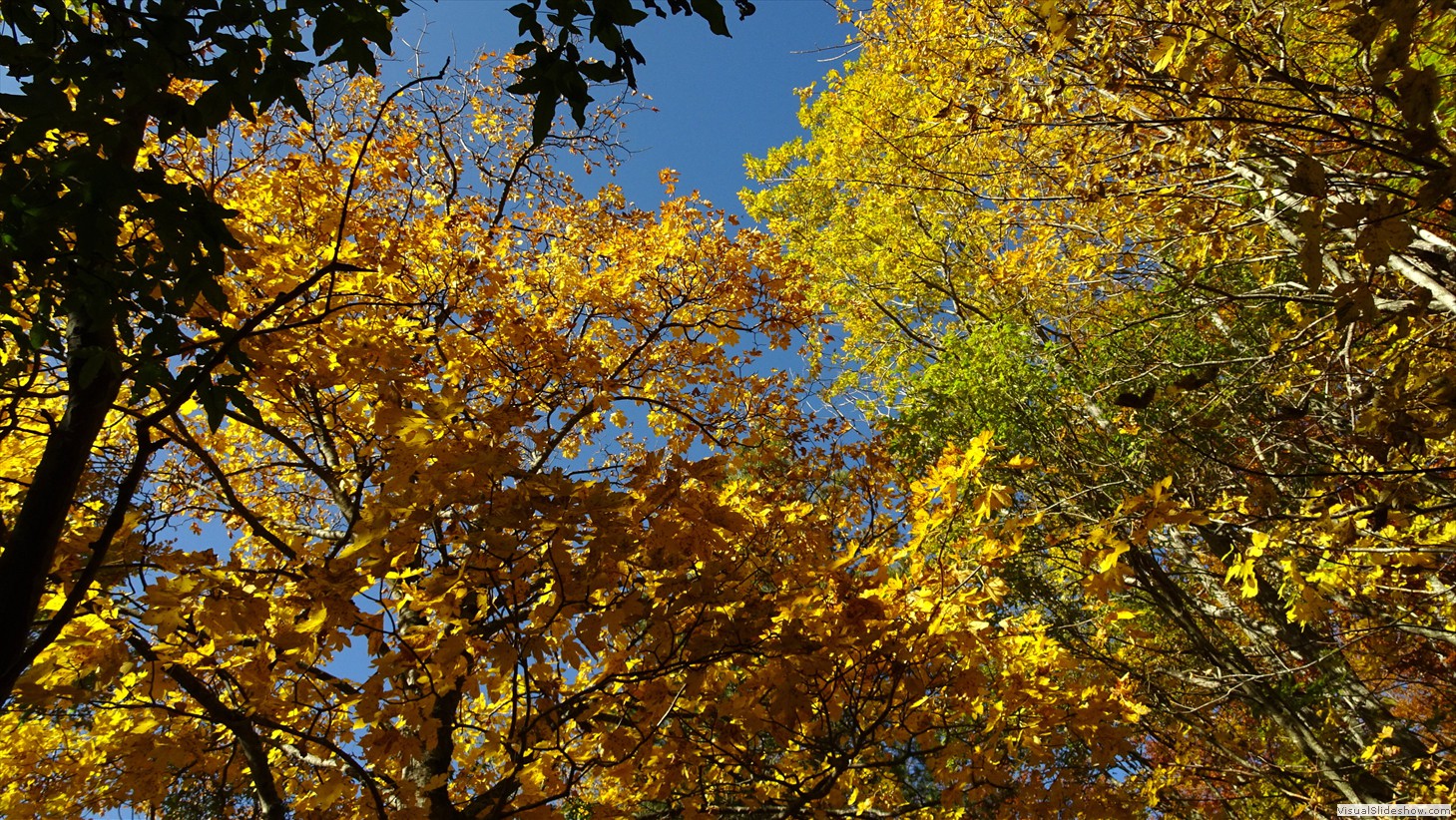 DSC03331