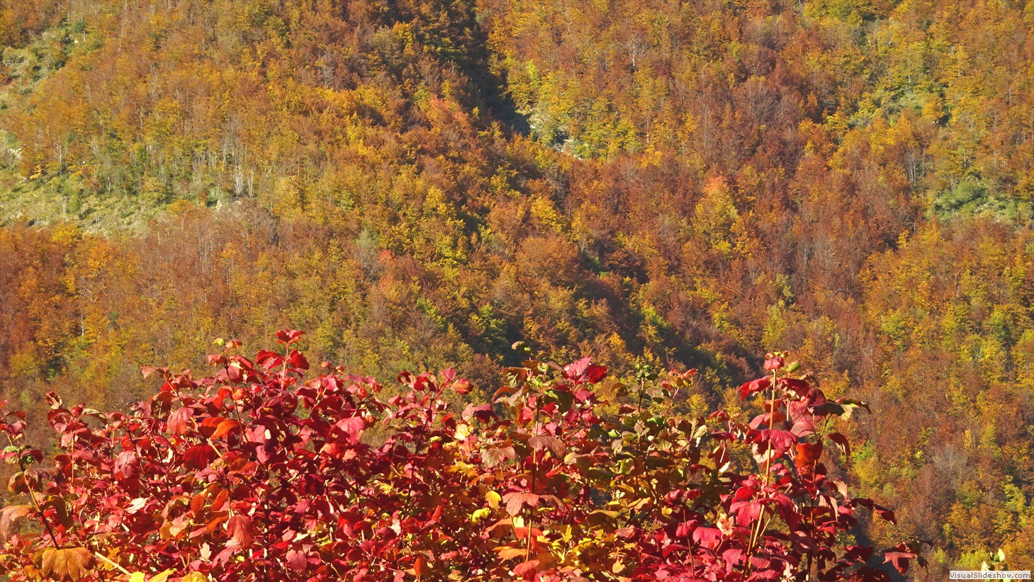 DSC03338