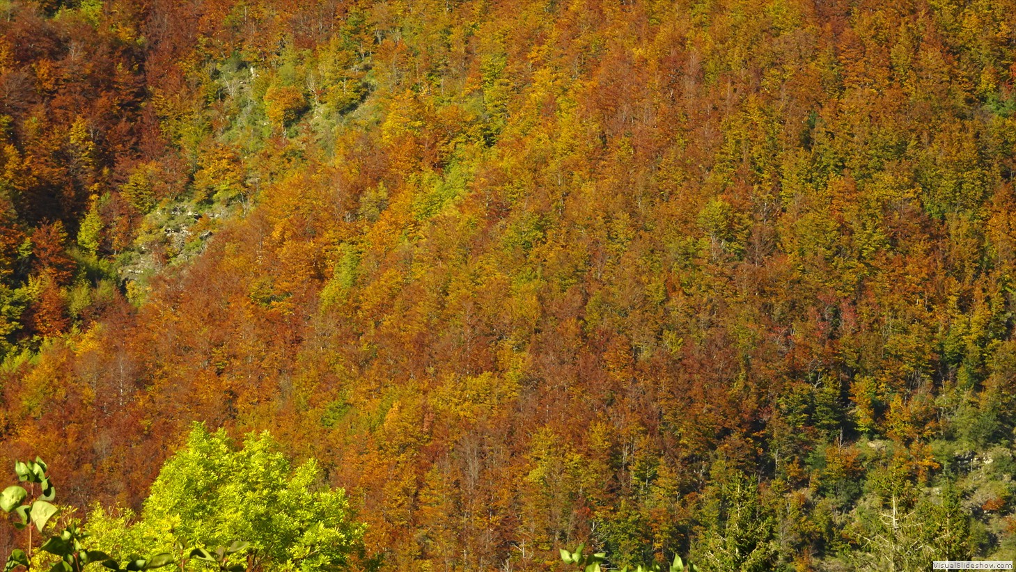 DSC03339