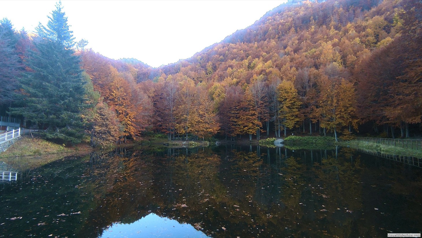 IMG_20211027_164647