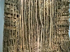 WP_20181227_16_56_32_Pro