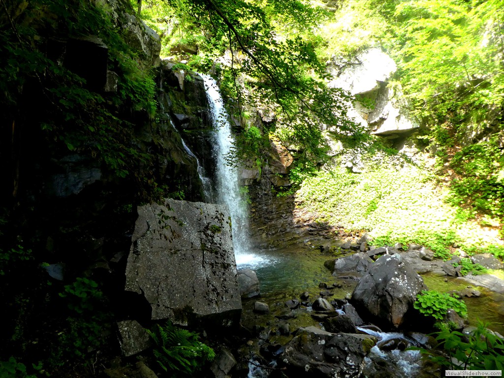 P1010545