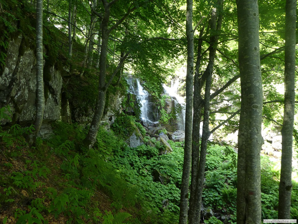 P1010549