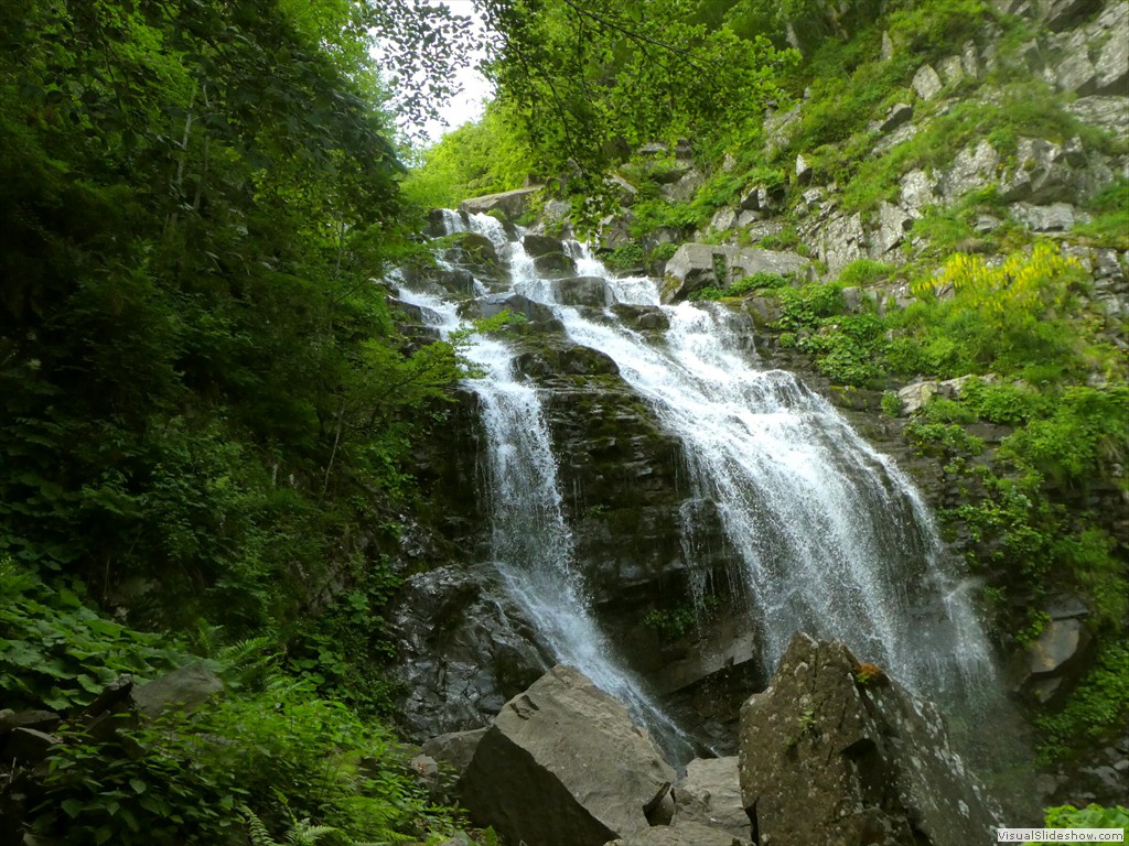 P1010555