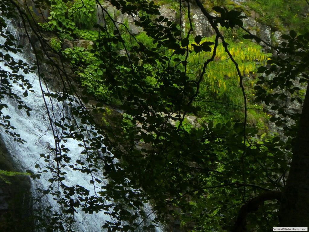 P1010557