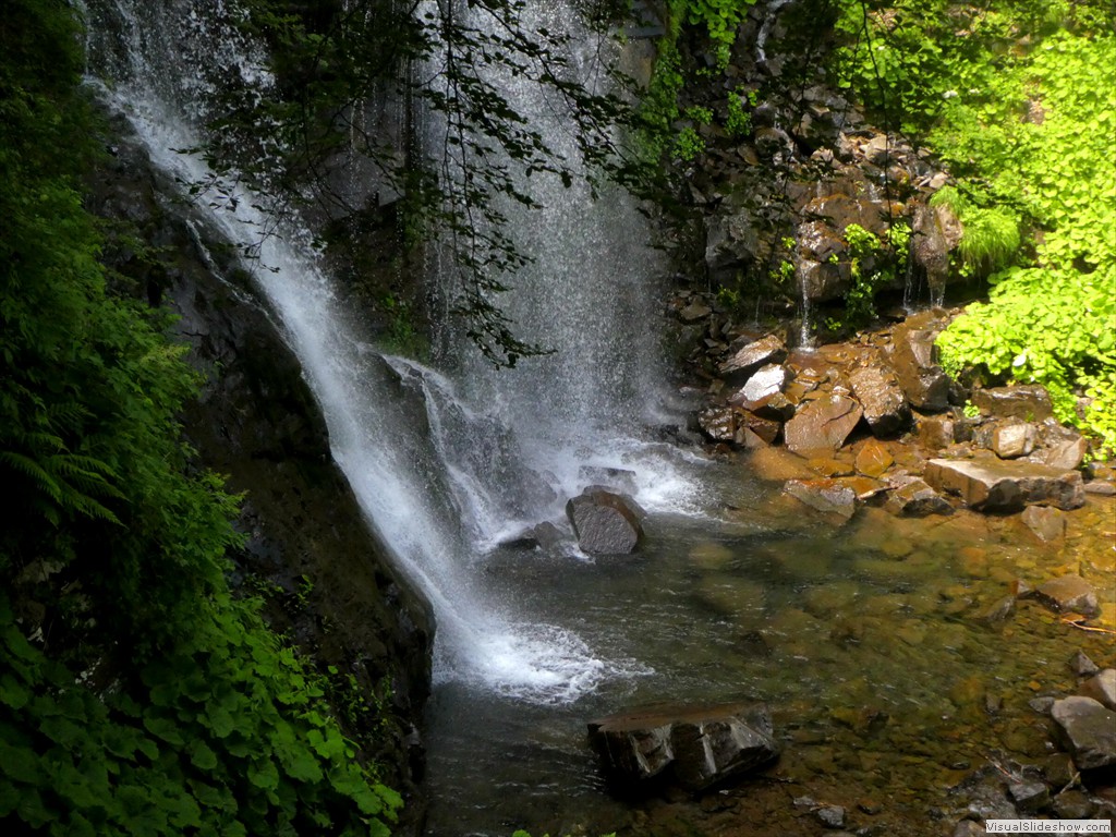 P1010558