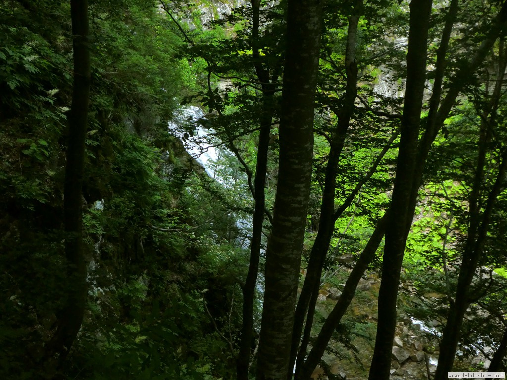 P1010560
