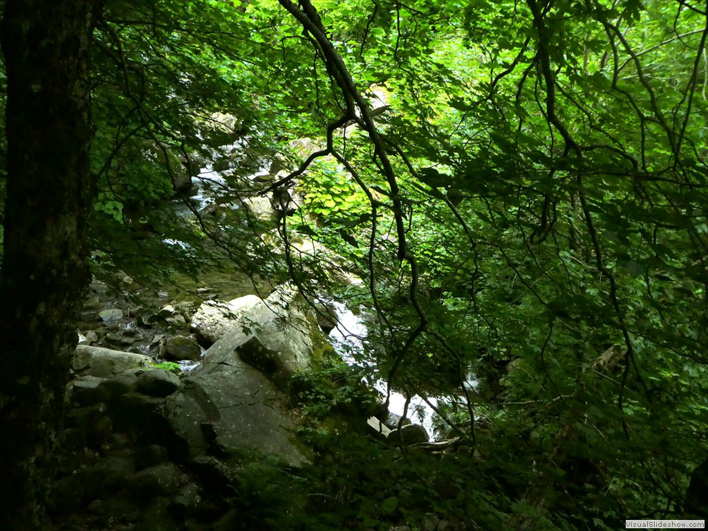 P1010561