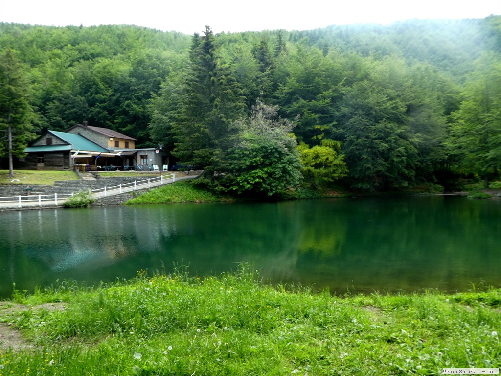 P1010564