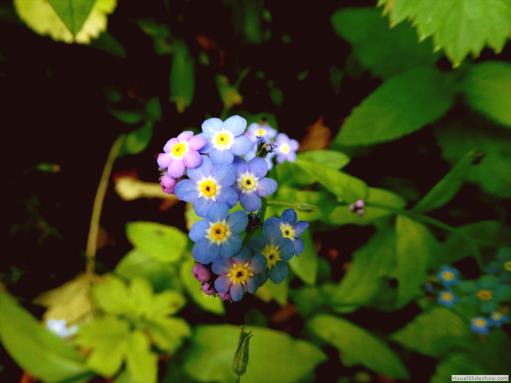 P1010570