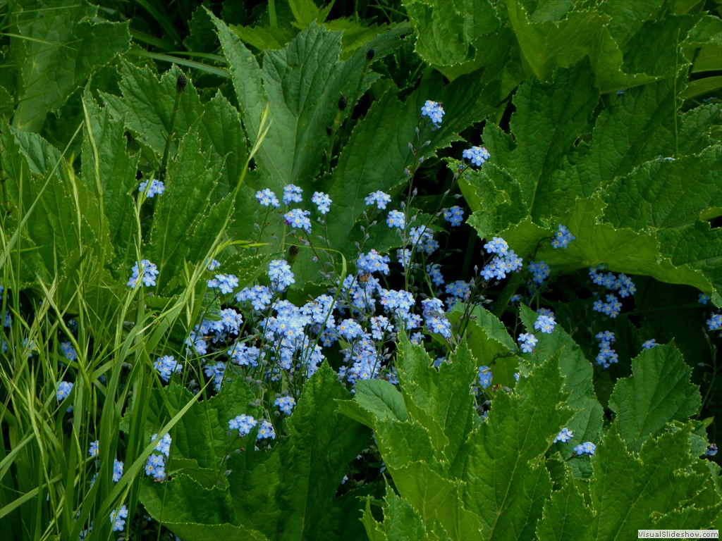 P1010584