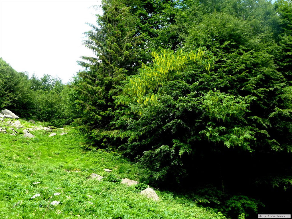 P1010586