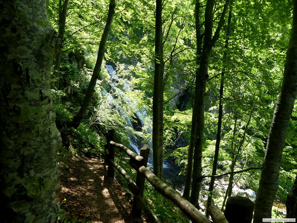 P1010597