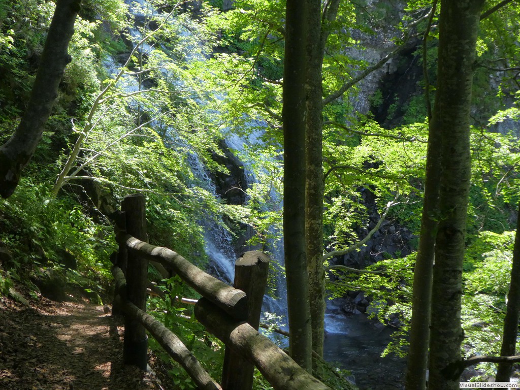 P1010598