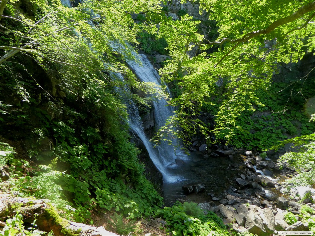 P1010599