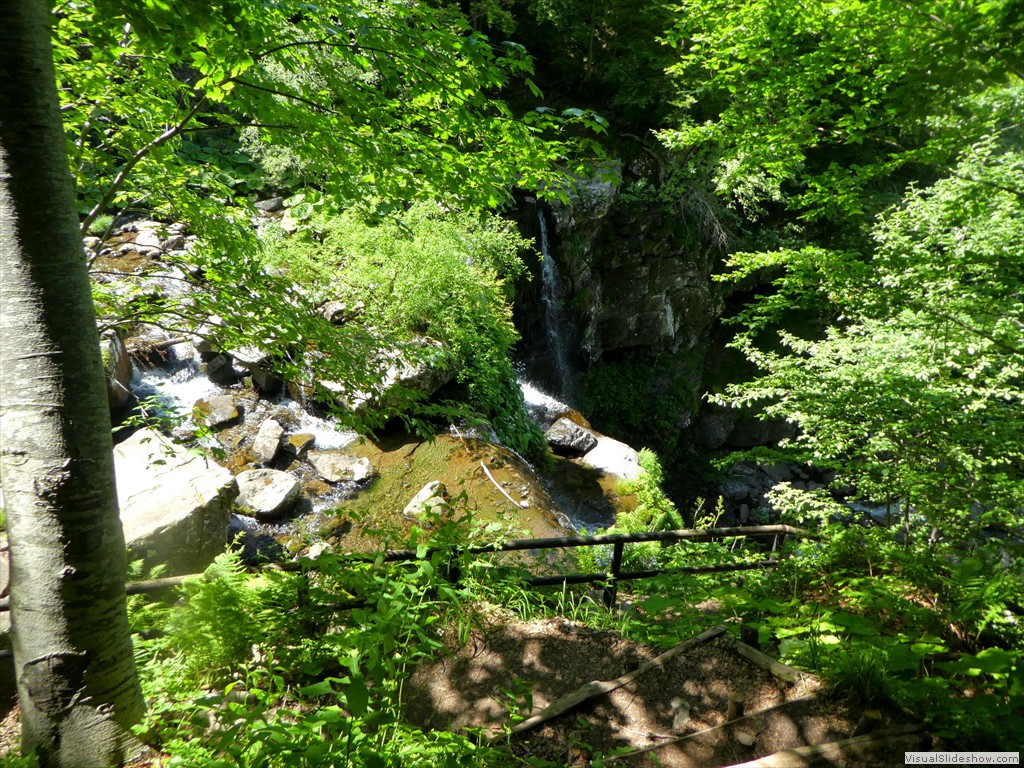 P1010601