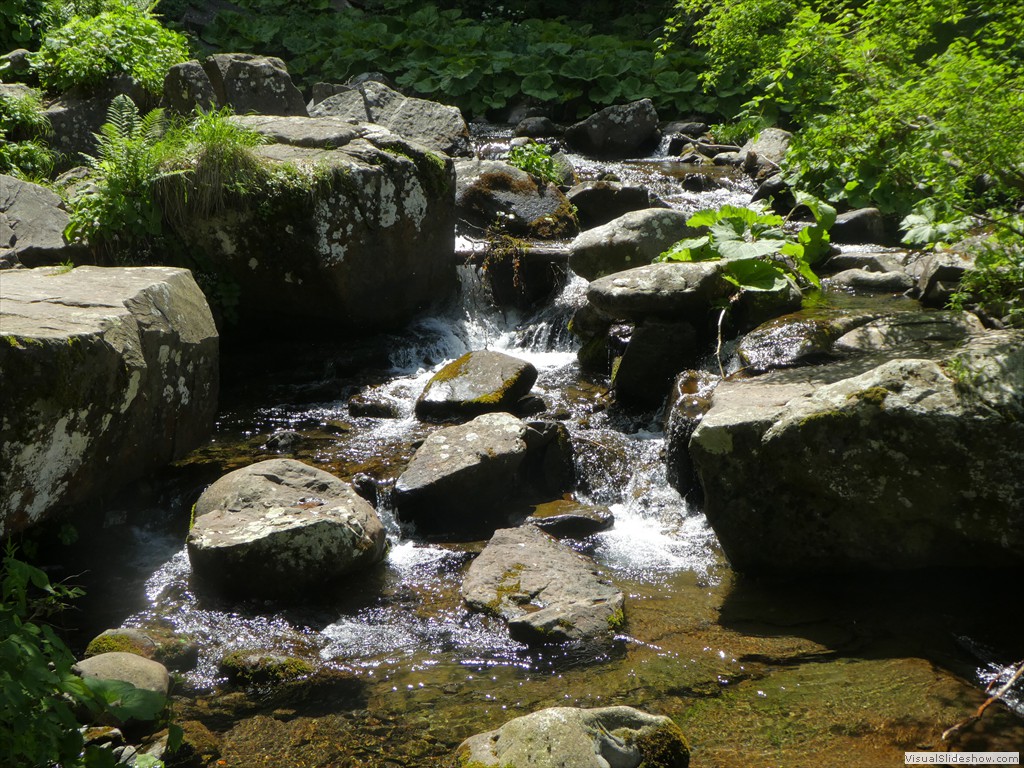 P1010613