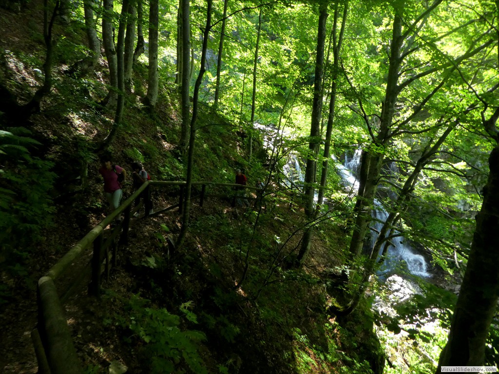 P1010614
