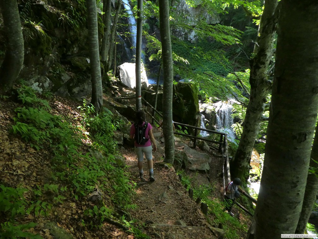 P1010619