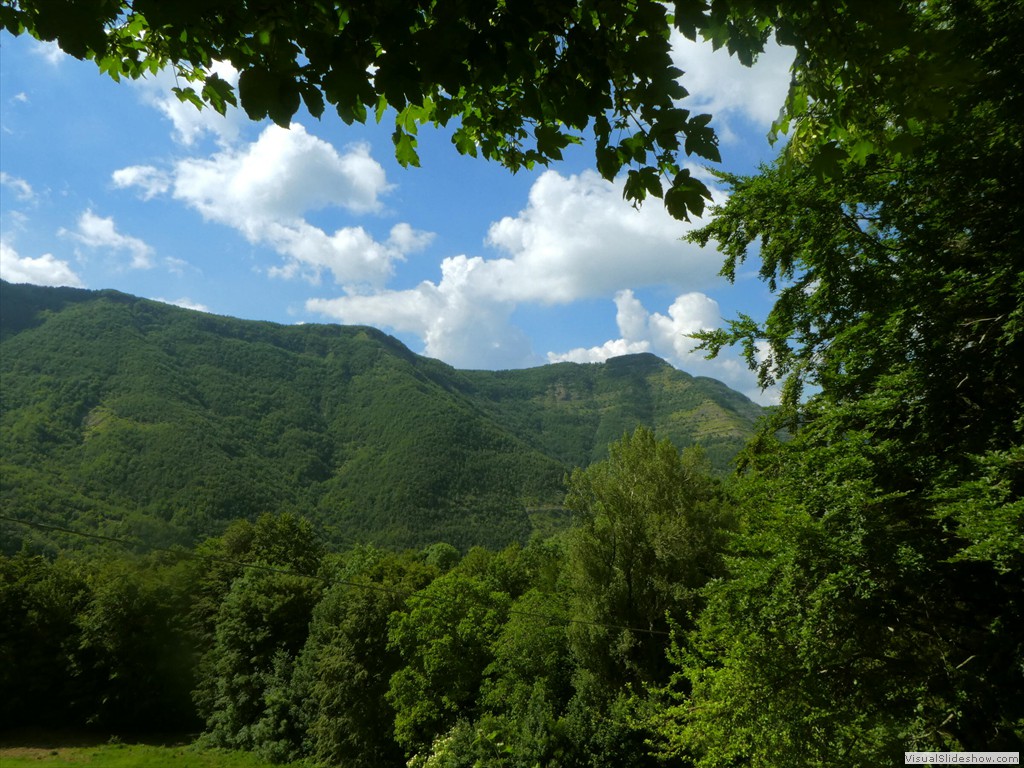 P1010623