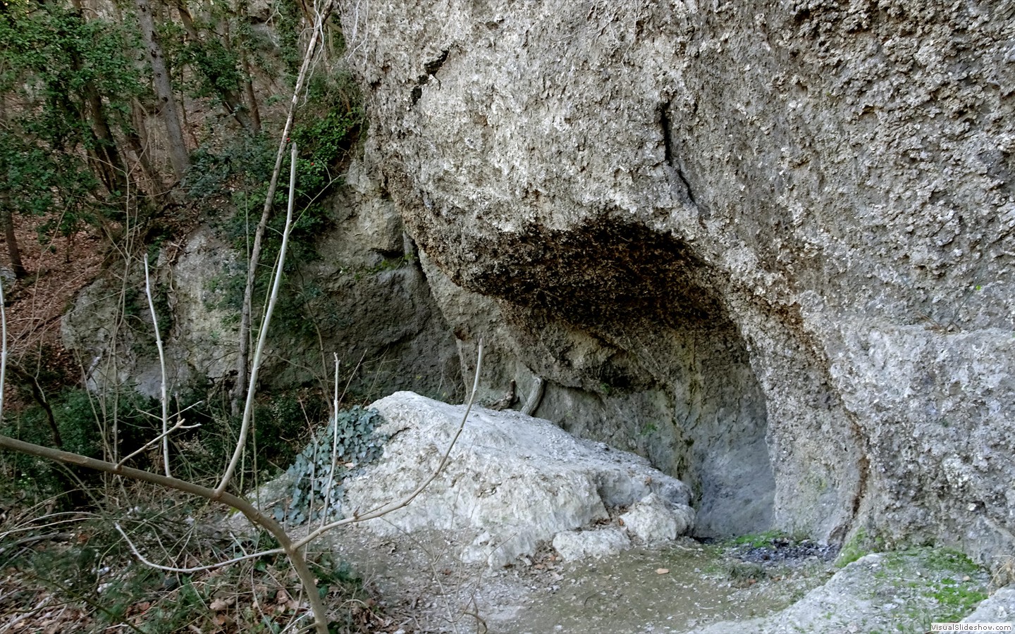 DSC01934