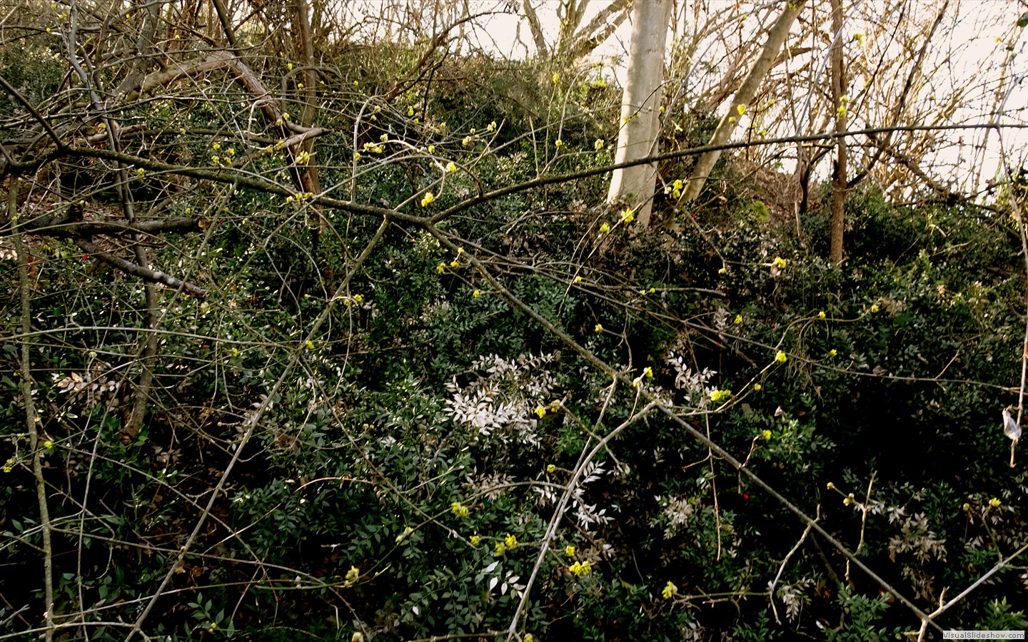 DSC01940
