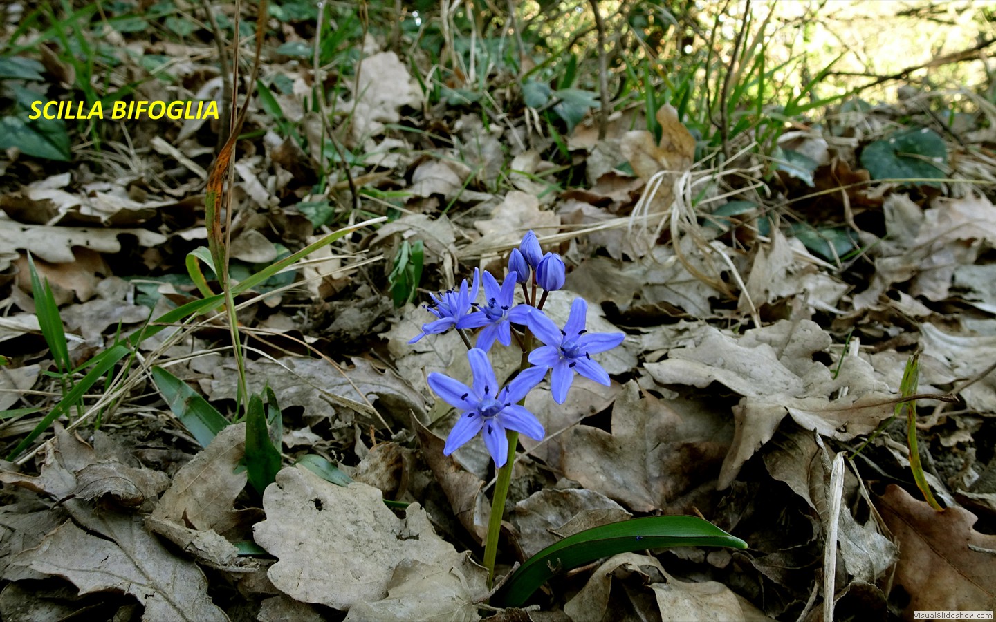DSC01947