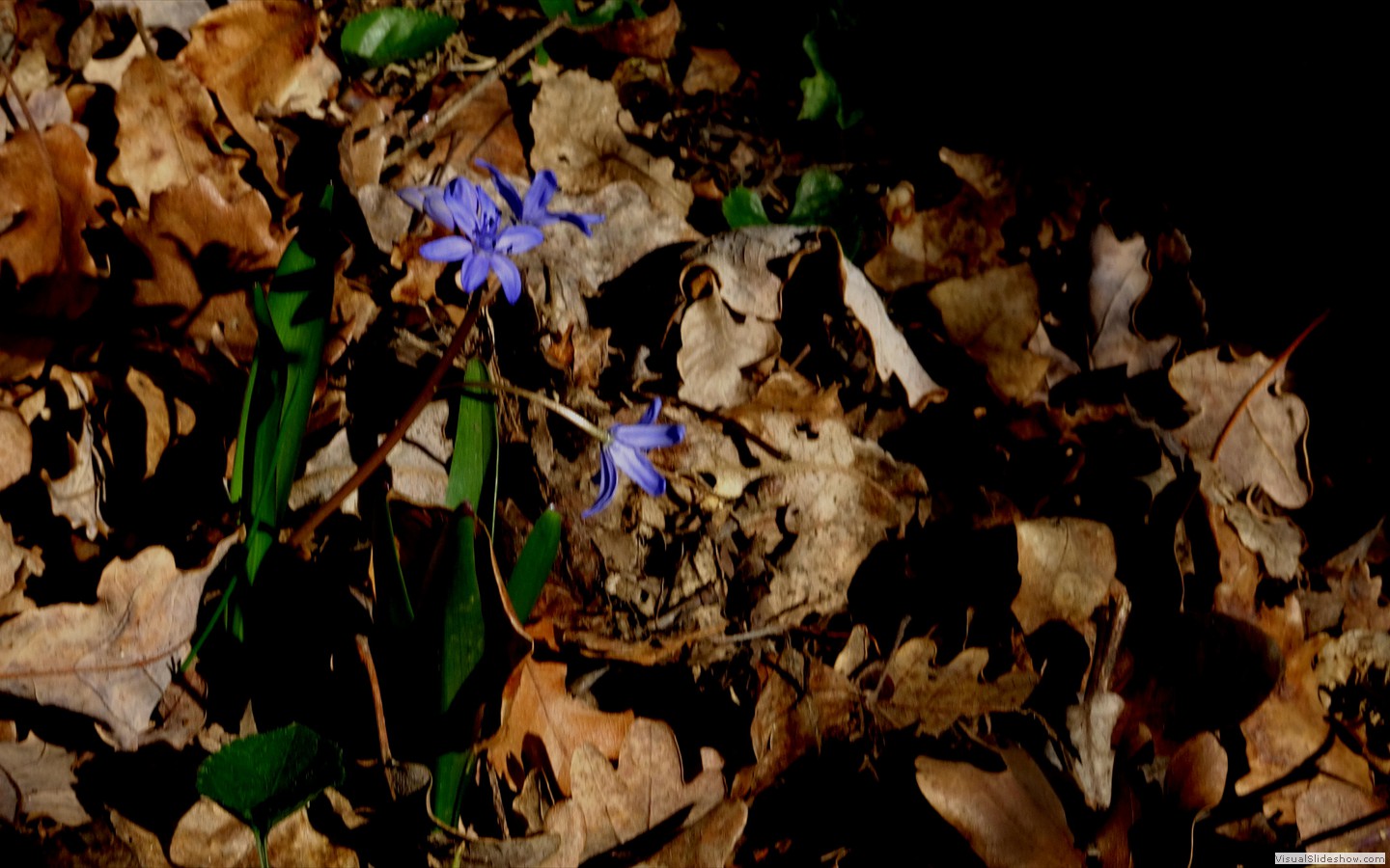 DSC01949