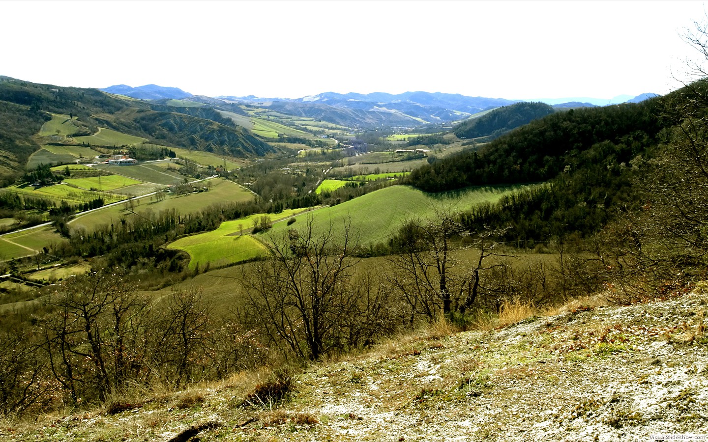 DSC01966