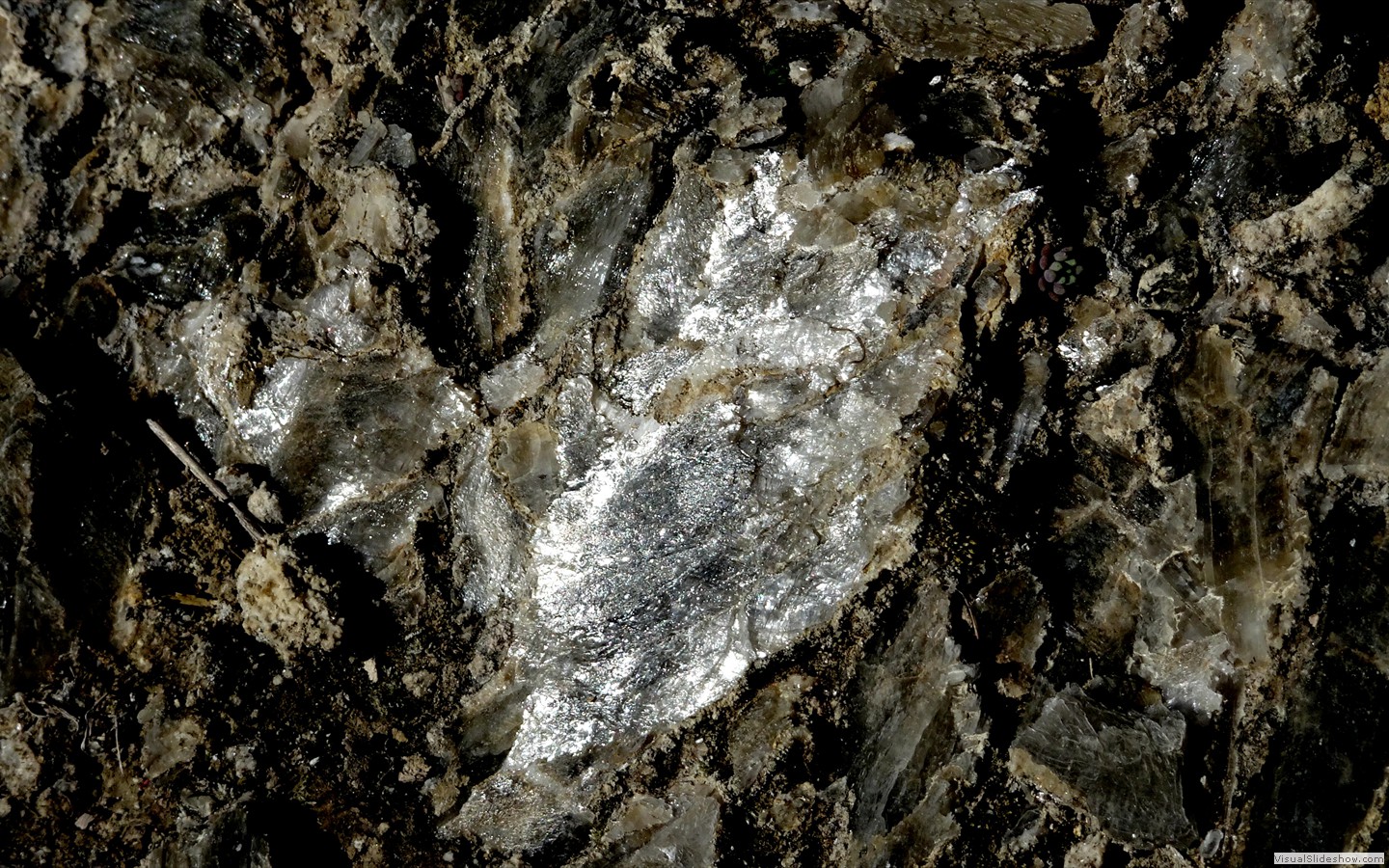 DSC01975