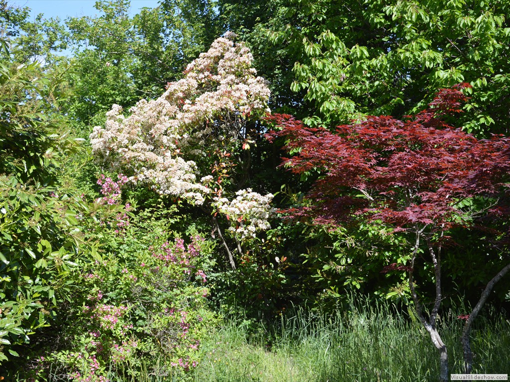 DSC_0005