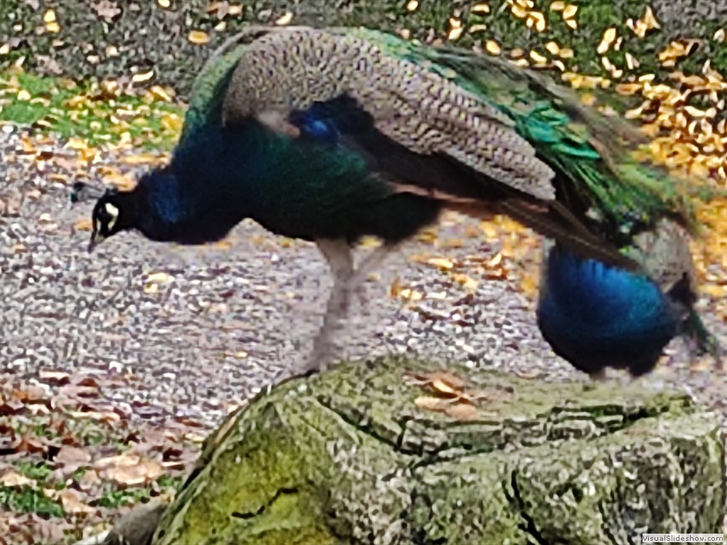 IMG_20211117_101659