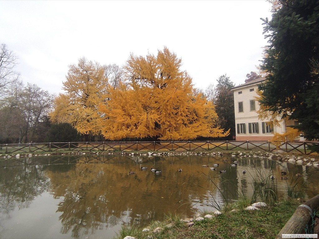 IMG_20211117_152438