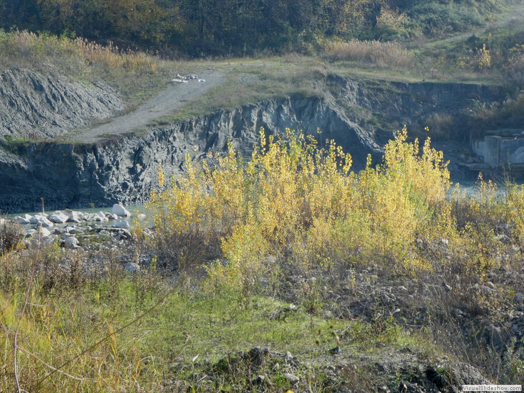 P1040397