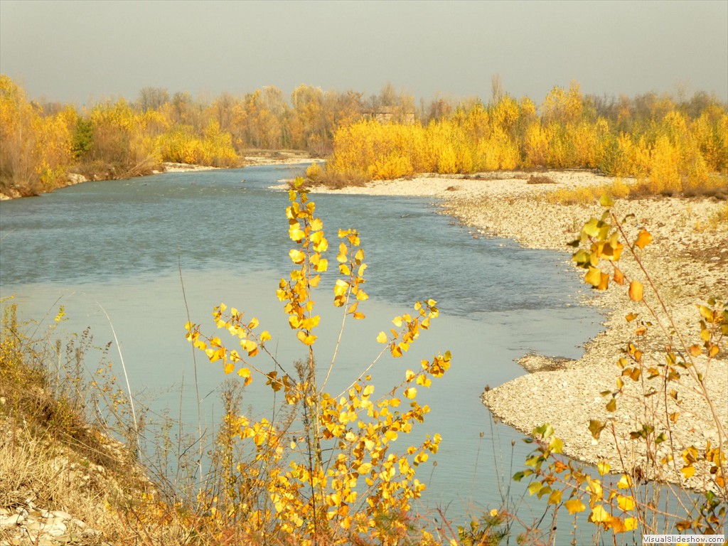P1040404