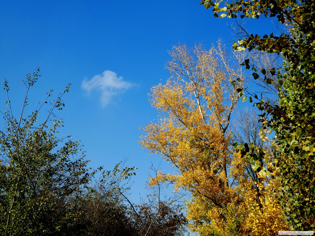 P1040410