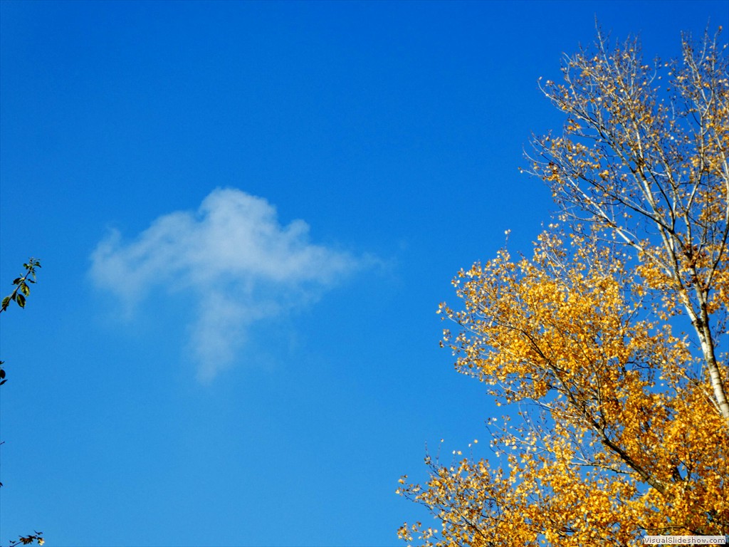 P1040411